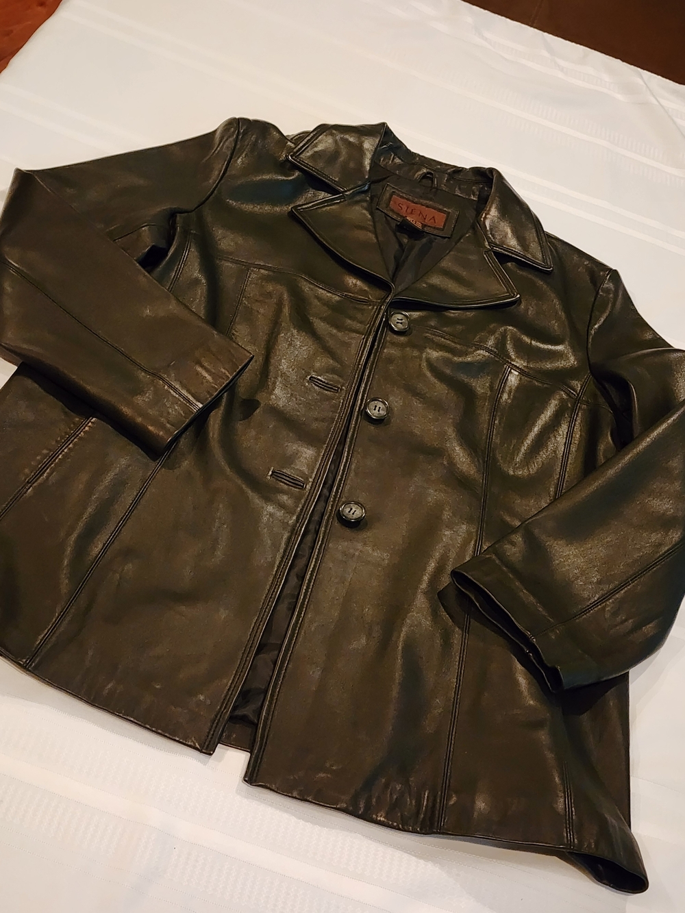 Siena Studio Dark Brown Leather Button-Front Jacket
